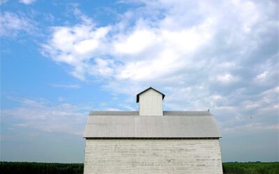 How to Patch Screw Holes in Metal Roof: A Complete Guide