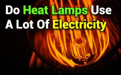 Do Heat Lamps Use a Lot of Electricity? Power Usage Explained