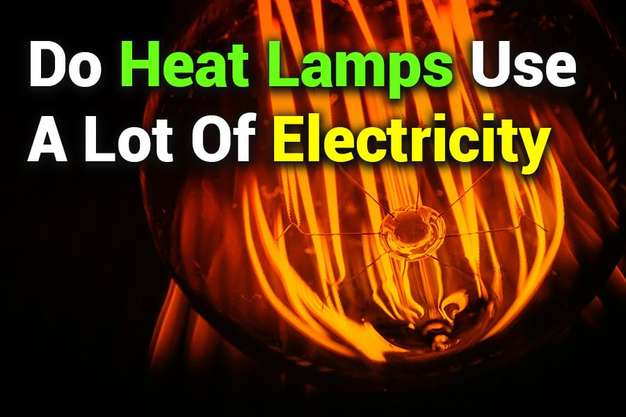 Do Heat Lamps Use a Lot of Electricity