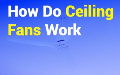 How Do Ceiling Fans Work? The Science Behind Efficient Cooling