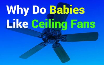 Why Do Babies Like Ceiling Fans? A Parent’s Guide