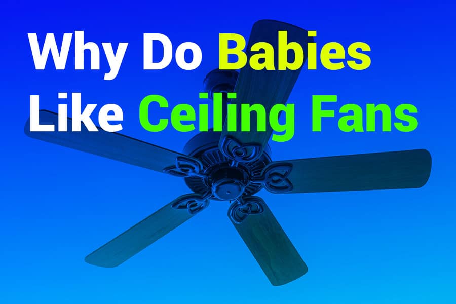 Why Do Babies Like Ceiling Fans? A Parent’s Guide